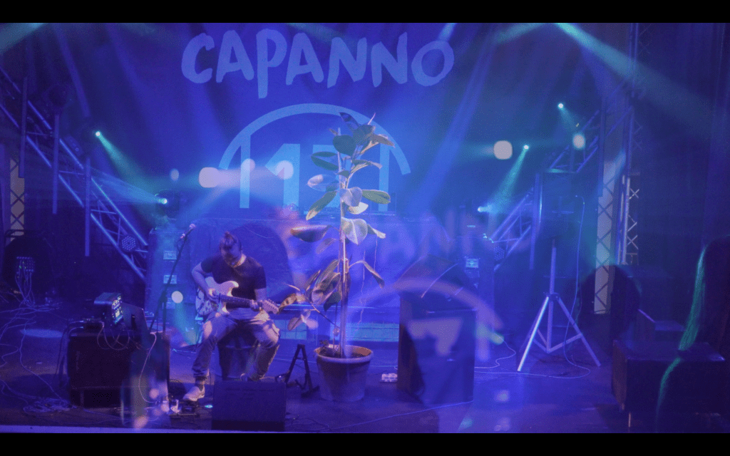 Edwin Lucchesi: music with the&nbsp;plant